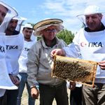 Azerbaycan'da arıcılara eğitim ve ekipman desteği