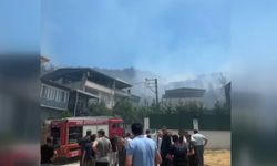 Bursa'daki orman yangını kontrol altına alındı