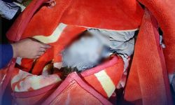 Afganistan’da hava saldırılarında 9 çocuk öldü