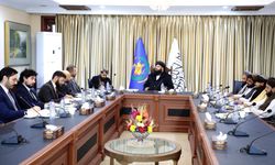 Afganistan’dan Türkiye’ye kolay vize talebi