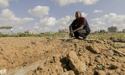 Araziler de enkaz altında: Gazzeli çiftçiler toprak arıyor