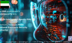 Birleşik Arap Emirlikleri ajanlarına operasyon