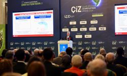 Bolat: AB Yeşil Mutabakatı'nı aynen uygulama kararı aldık