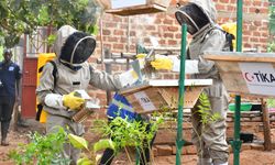 TİKA'dan Ugandalı arıcılara destek