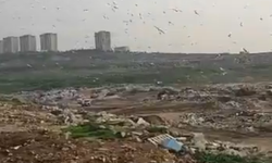 Bursa Belediyesi'ne 'vahşi depolama' cezası