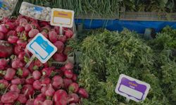 Diyarbakır'da esnafa Kürtçe tabela ve etiketler dağıtıldı