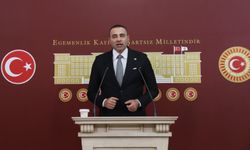 Kaya: Manavgat'a GES kurulması ekolojik sisteme zarar verir