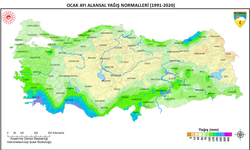 Ocak ayında Türkiye'ye bereket yağdı