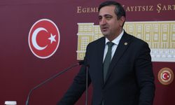 Ramanlı: 100 temel eser ehil kişilerce kontrol edilmeli