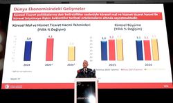 Suudi Arabistan, TIR şoförlerine 15 günlük vize verecek