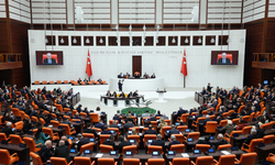 Doğum iznini 24 haftaya çıkaran teklif yasalaştı