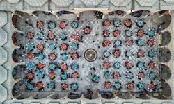 TİKA’nın Gönül Sofrası Gana’da yetimler için kuruldu