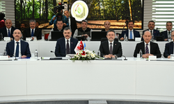 Yumaklı: Yanan orman alanları imara açılmayacak