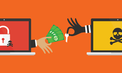 Sadece Türkiye'yi hedef alan fidye yazılım uyarısı