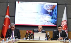 Sokak hayvanlarının yüzde 78'i toplandı