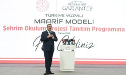 Tekin: Güney Amerika'dan bir model getirseydik aklışlarlardı