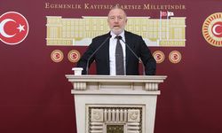 Temelli: Varlık barışı değil, toplumsal barış istiyoruz