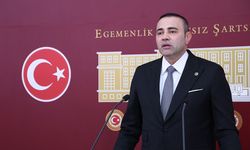 Kaya: Özel sektördeki öğretmenlere yeşil pasaport verilsin