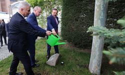 Erdoğan: Türkiye ekonomisini şoklara dirençli hâle getirdik