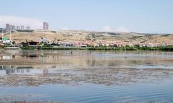 Mogan Gölü'ndeki kirliliğe ceza