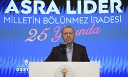 Erdoğan: Vesayetten arınmış bir anamuhalefete ihtiyaç var