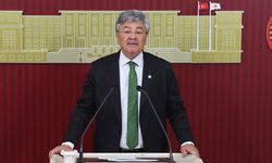 Ergun: Zeytin stratejik ürün kapsamına alınmalı