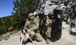 Mali ve Nijer askerlerine komando eğitimi