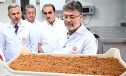 İzmir'de yılda 10 milyon kısır böcek üretilecek