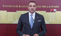 Kaya: Zeytin üreticilerinin borçları faizsiz ertelensin