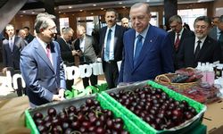 Erdoğan: Çiftçiyle bütünleşmek kafaya kasket takmak değildir