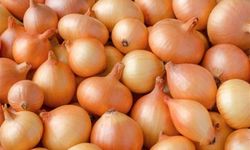 Kuru soğanda gümrük vergisi geçici olarak %5'e düştü
