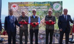 Büyükada'ya 1000 adet sülün salındı