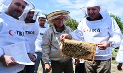 Azerbaycan'da arıcılara eğitim ve ekipman desteği