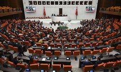 Çerçeve yasa büyük çoğunlukla kabul edildi