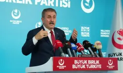 Destici: Düzenleme affa eşdeğer bir netice üretecektir