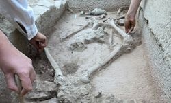 Aspendos'ta güreşçi mezarı bulundu