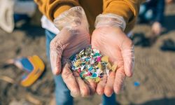 Akdeniz'de mikroplastik denetimleri başladı