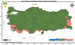 Temmuz'da sıcaklık ortalaması mevsim normallerinde ölçüldü
