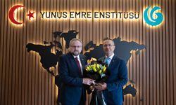 Yunus Emre Enstitüsü'nün yeni başkanı Diyanet'ten
