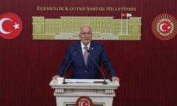 Kocamaz: Hayvancılıkla uğraşanların yaşı 60'a dayandı