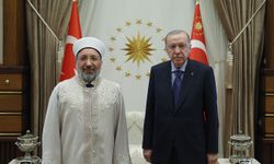 Cumhurbaşkanı Erdoğan, Arpaguş'u kabul etti