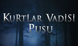 Kurtlar Vadisi'ne FETÖ incelemesi