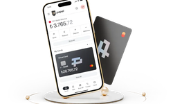 Papel ödeme kuruluşunun faaliyet izni iptal edildi