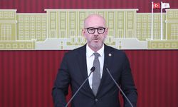 CHP'li Sarı: Çeltik alım fiyatları bir an önce açıklanmalı
