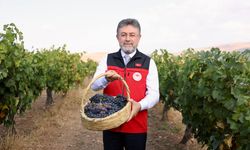 Tarım Bakanı Yumaklı, bağ bozumuna katıldı