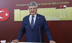 Ergun: Zeytinin dalda kalma riski var