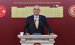 Aksakal: En büyük suçlu dolandırıcılığa zemin hazırlayan SPK