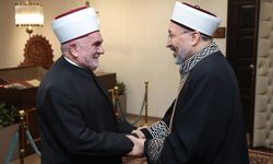 Arpaguş, Sırbistan İslam Birliği Başkanı ile görüştü