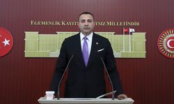 Kaya: Elma üreticisi 10 liraya dahi alıcı bulamıyor