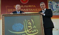 Erdoğan: Terorsüz Türkiye hedefiyle aramıza kimse giremez